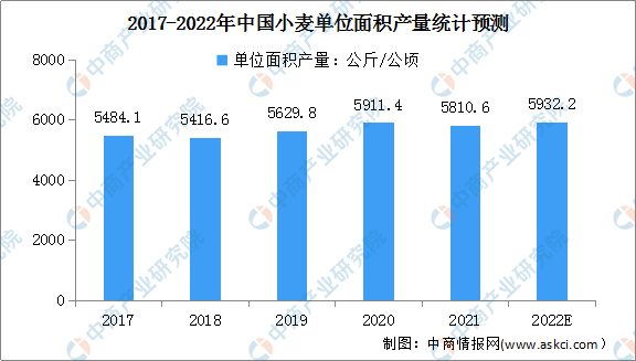 19年上半年小麦走势_下半年小麦价格走势如何