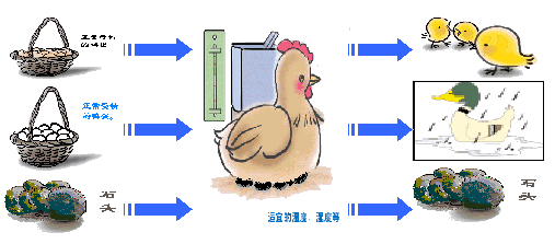 外因会决定事物的走势吗_外因决定事物的性质和变化趋势