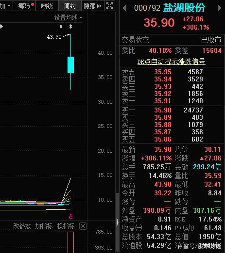 盐湖股份上市首日走势图_盐湖股份上市首日走势图解