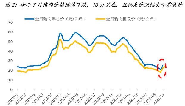 预测2020年生猪走势_2019到2020年生猪走势图