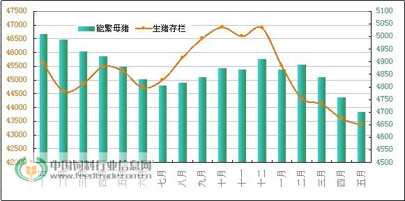 关于母猪存栏与仔猪价格走势图的信息