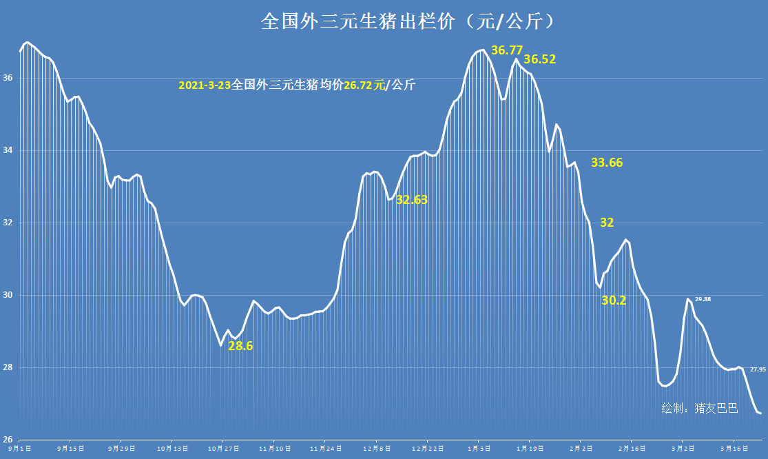 包含6月23日猪价最新走势价格小猎的词条