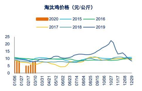 未来三年淘汰鸡价格走势_2021淘汰鸡价格行情走势分析