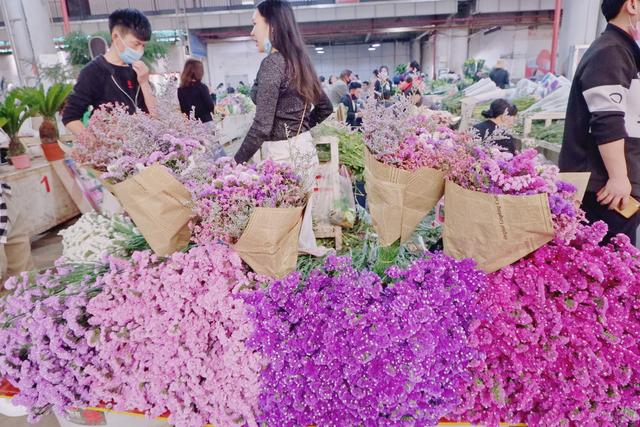 斗南玫瑰花花价格走势_云南斗南玫瑰花今日价格