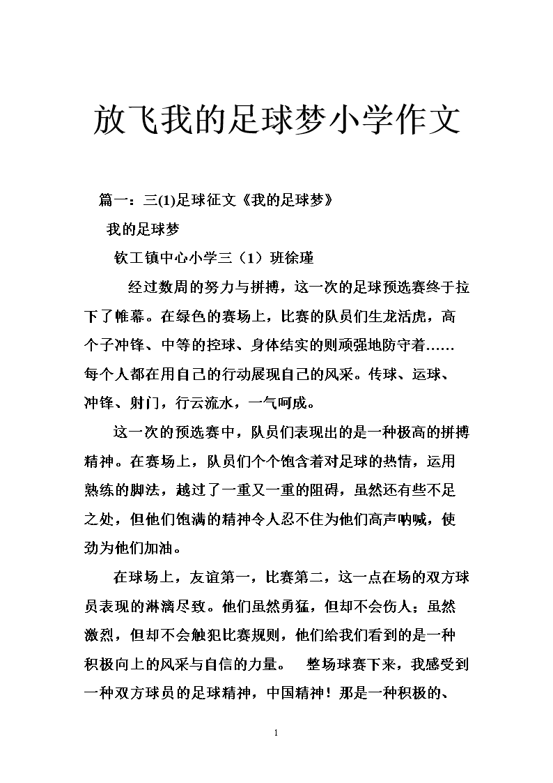 我与足球的故事作文_我爱踢足球作文300字