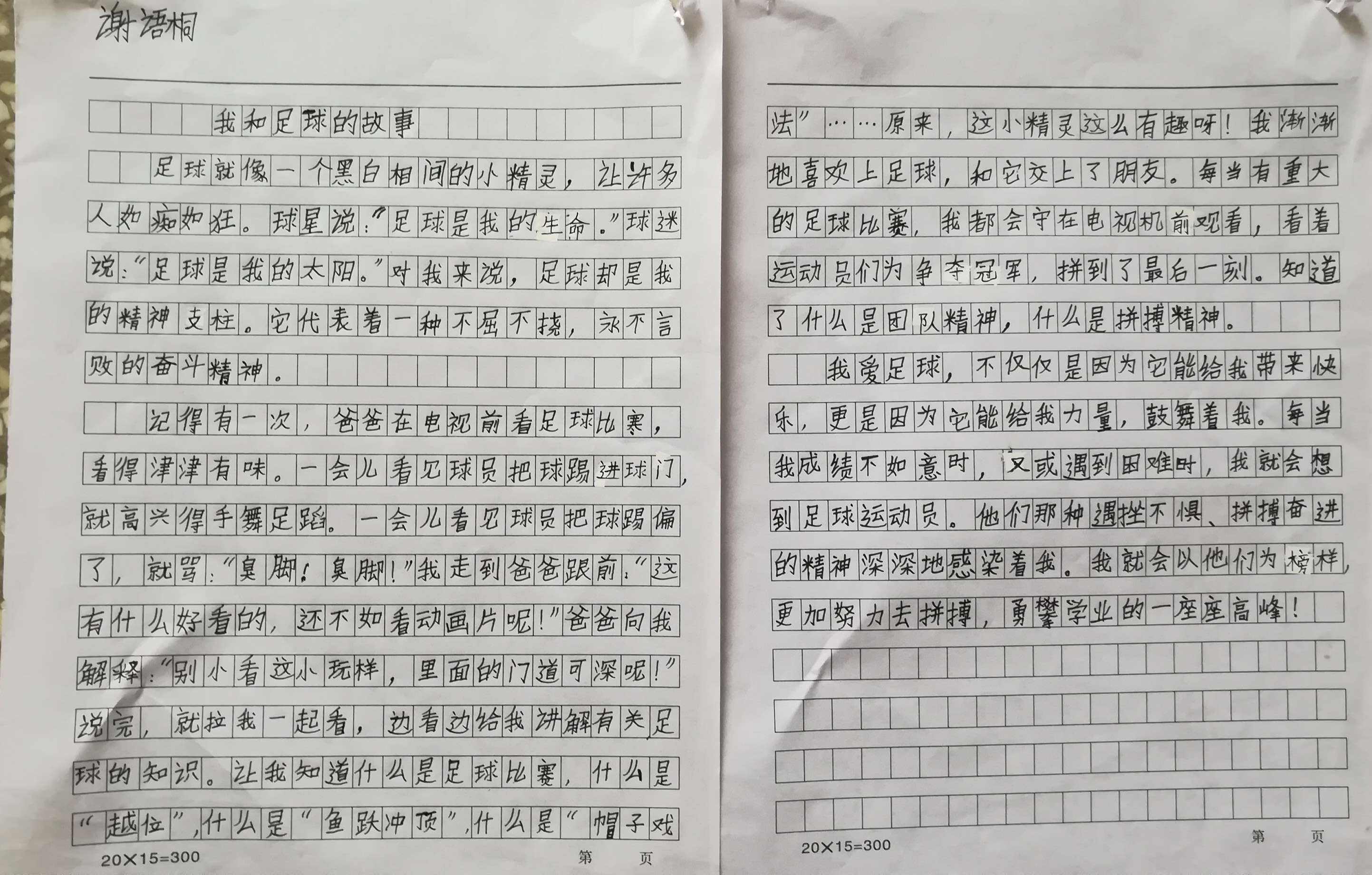 我与足球的故事作文_我爱踢足球作文300字