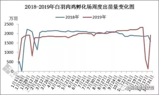 2017年5月份肉鸡走势_2018年7月4日鸡病网肉鸡价格