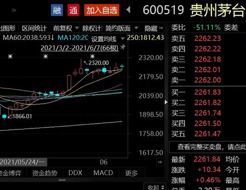 明日白酒股市走势预测最新_明日白酒股市走势预测最新消息