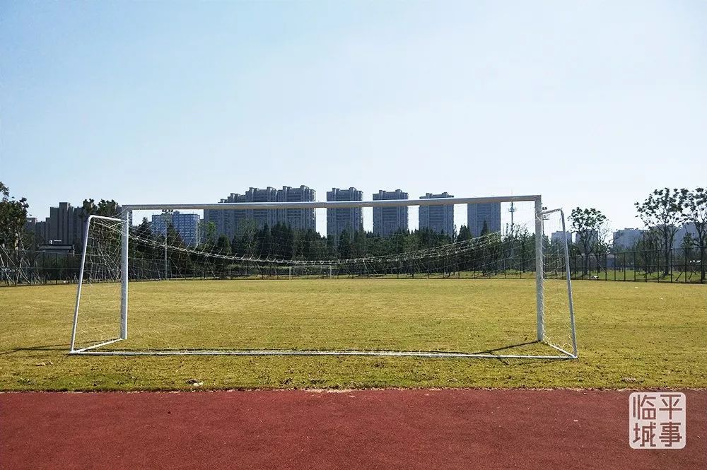 高坪足球场_高坪区体育馆