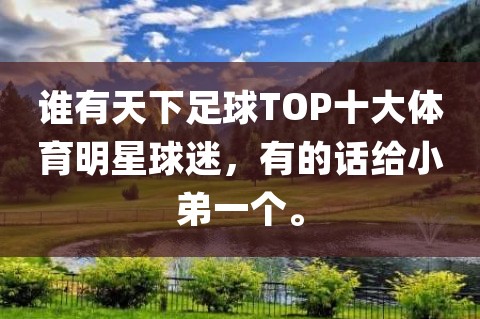 天下足球top10系列全集_天下足球 here i am