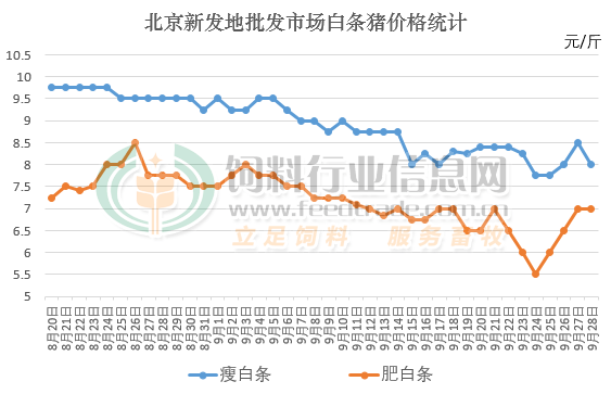 猪肉今年什么价格走势_今年的猪肉价格是多少钱