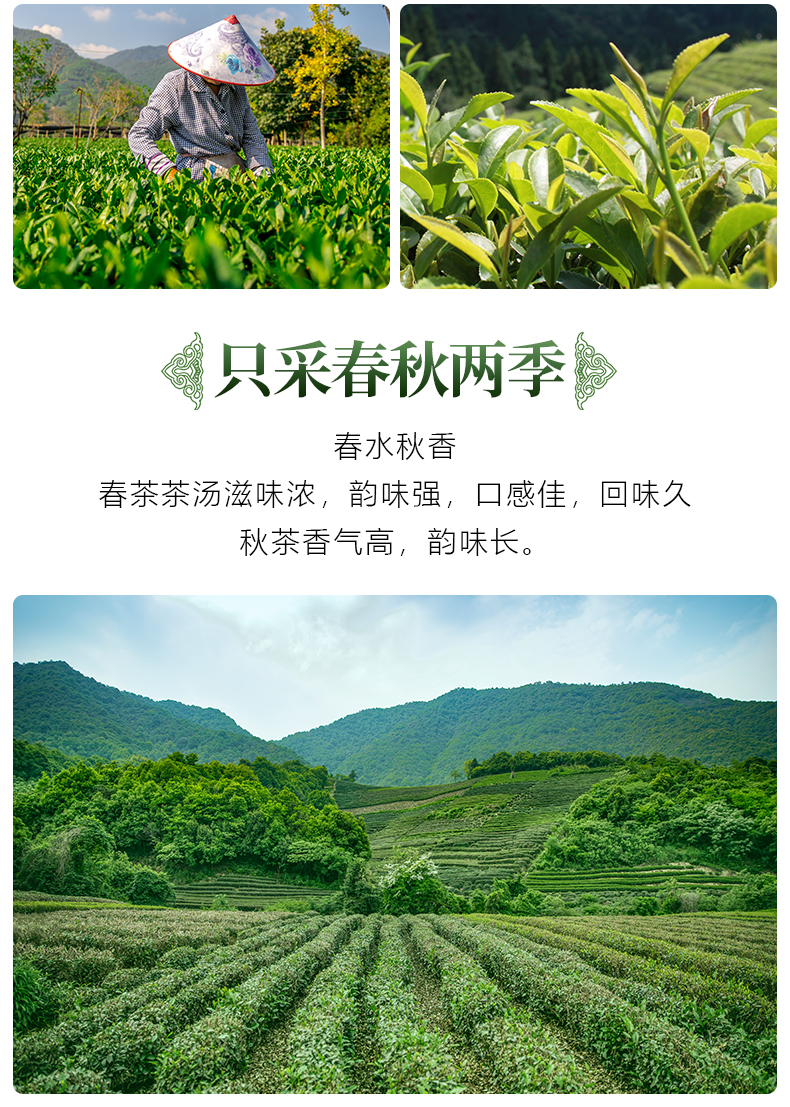 铁观音2021年秋茶价格走势_铁观音2021年秋茶价格走势分析