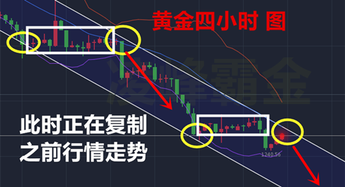 最新黄金走势分析和操作建议_最新黄金走势分析和操作建议视频