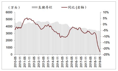 2019年猪价预测走势分析_2019年猪价最高能达到多少钱一斤