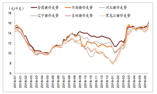 2019年猪价预测走势分析_2019年猪价最高能达到多少钱一斤