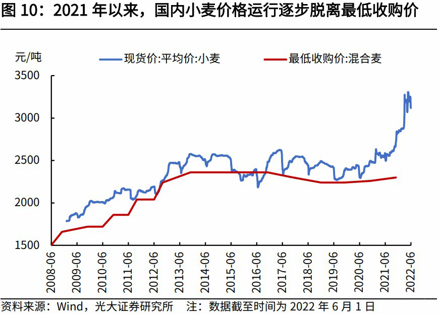 湖北小麦历年价格走势_湖北省今年小麦收购价格表