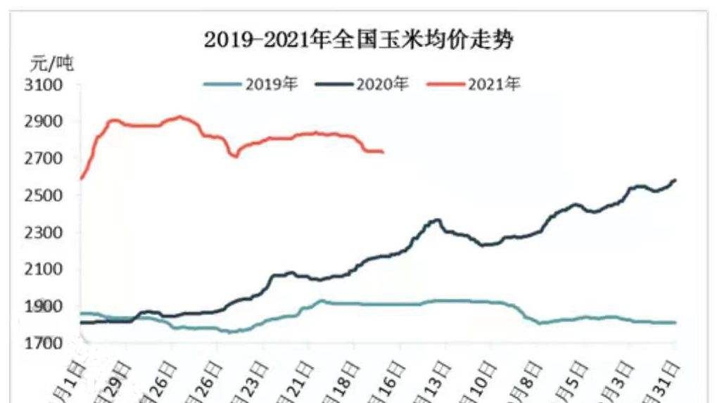 山东玉米行情走势预测_山东玉米行情走势预测图