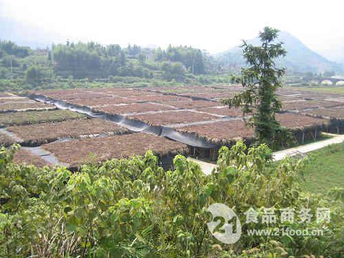 庆元县人均消费历年走势图_庆元县人均消费历年走势图最新