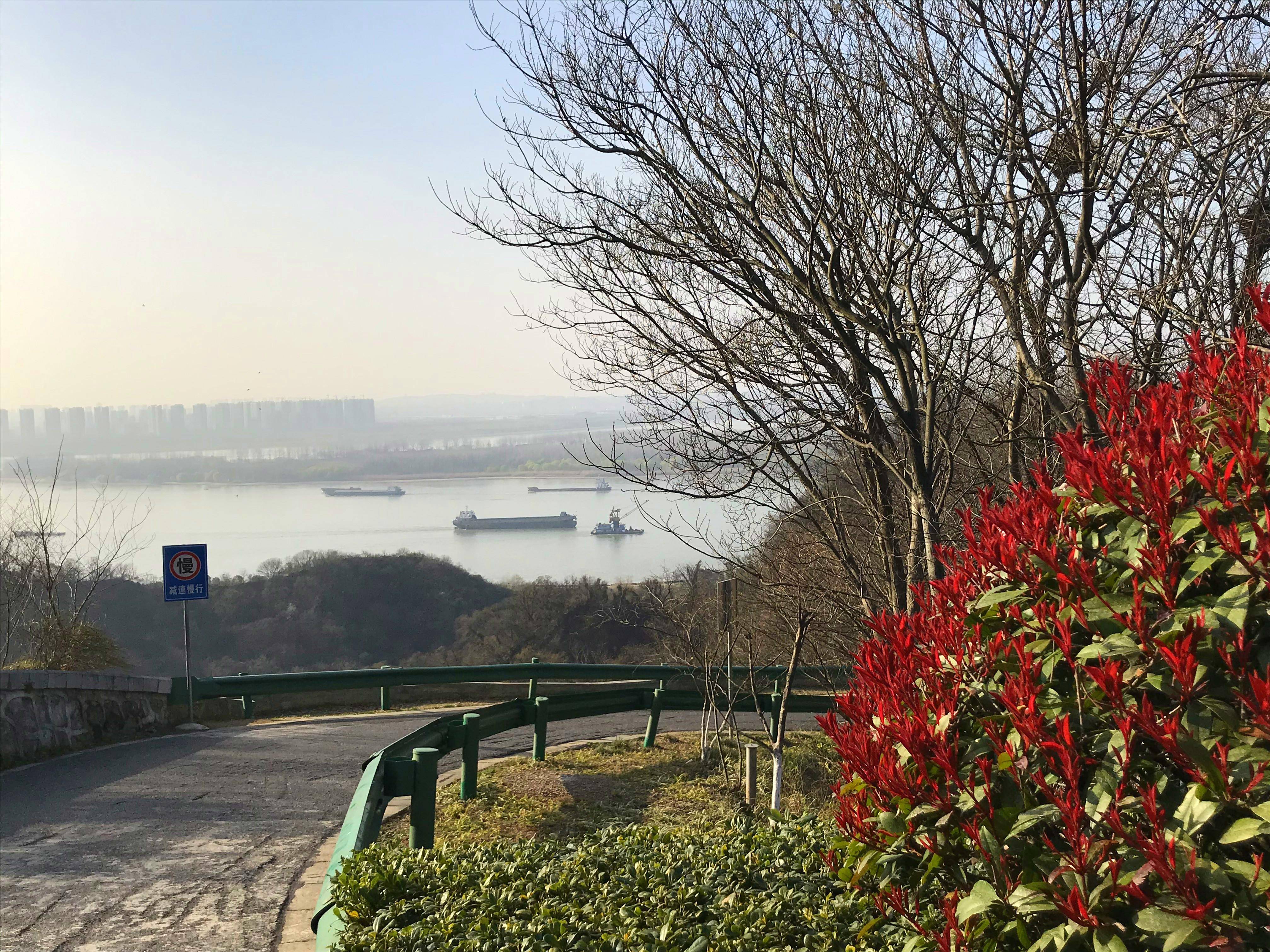 南京市观音门规划与走势_南京观音门小学什么时候开建