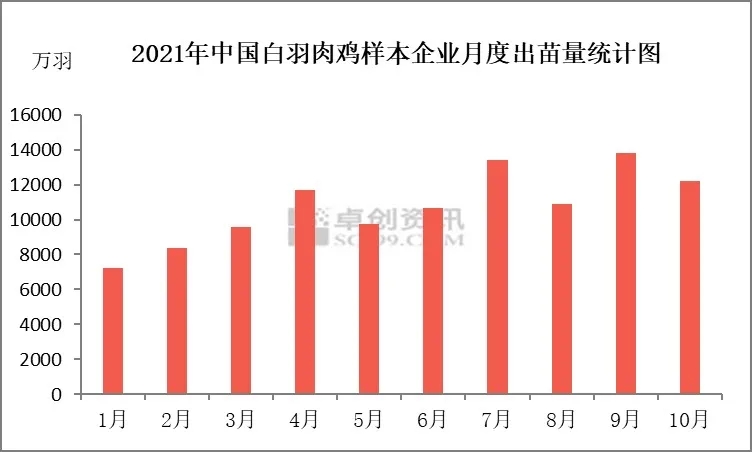 近十年肉鸡价格走势图_2021年肉鸡价格走势