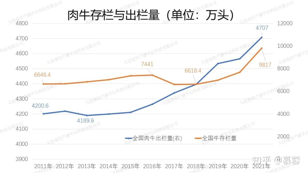 2021年肉牛价格和走势_2021年肉牛价格2022年肉牛价格