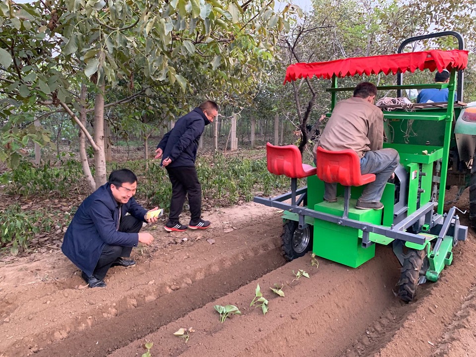 山东农业栽苗机自走势_农用小型自动栽苗机视频