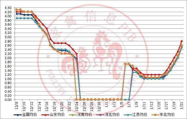 今日全国肉鸡价格走势_肉鸡价格行情今日报价今日肉鸡价格行情