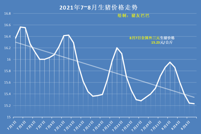 8月24日全国猪价走势分析_2021年8月24日最新猪价