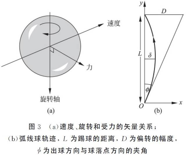 物理学足球_足球中的物理知识