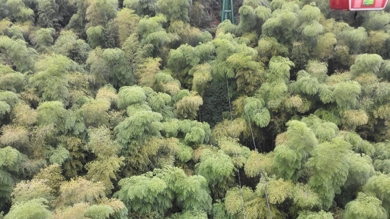 宜兴节约绿化种植价格走势的简单介绍