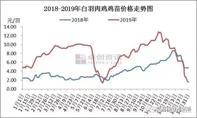 2018毛鸡价格走势_2020年毛鸡价格走势图