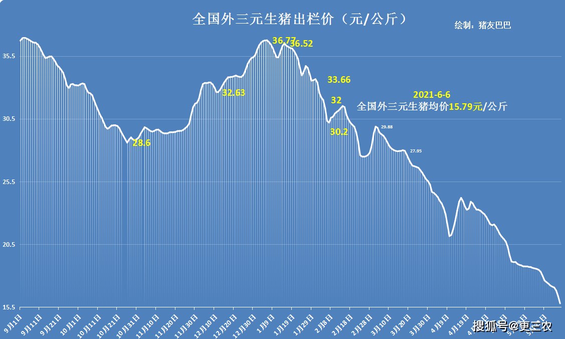 今日陕西生猪价格走势_今日陕西生猪价格走势分析