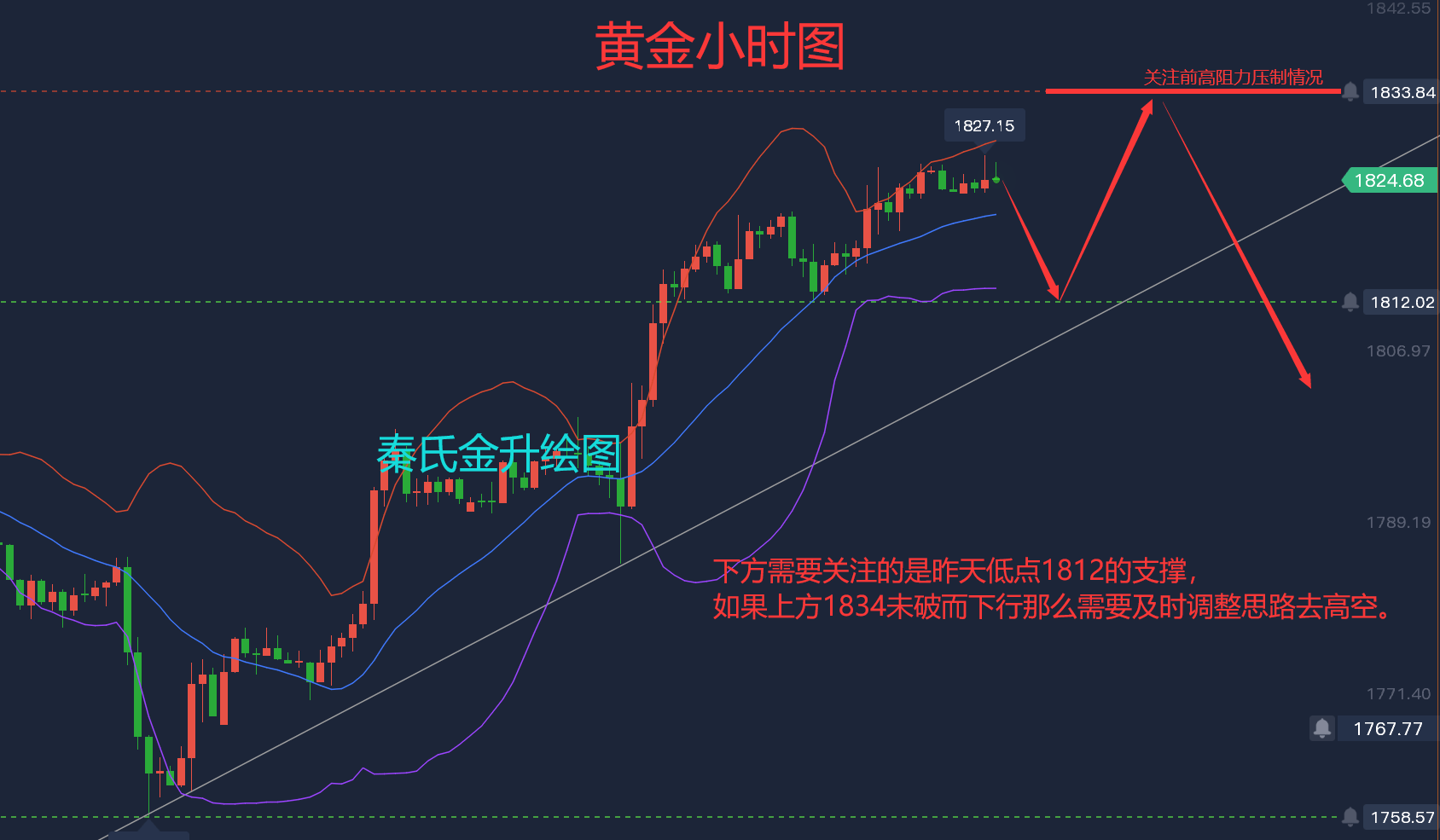 今日黄金走势最新分析_今日黄金走势最新分析图表