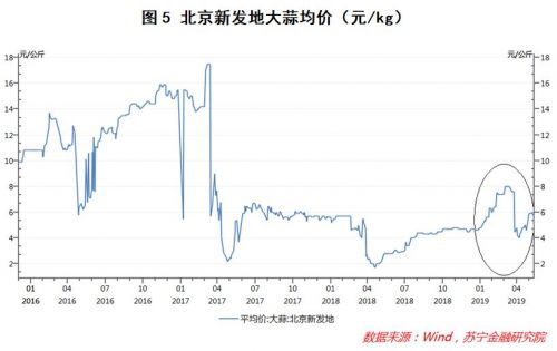 大蒜近十年价格走势图_大蒜近十年价格走势图表