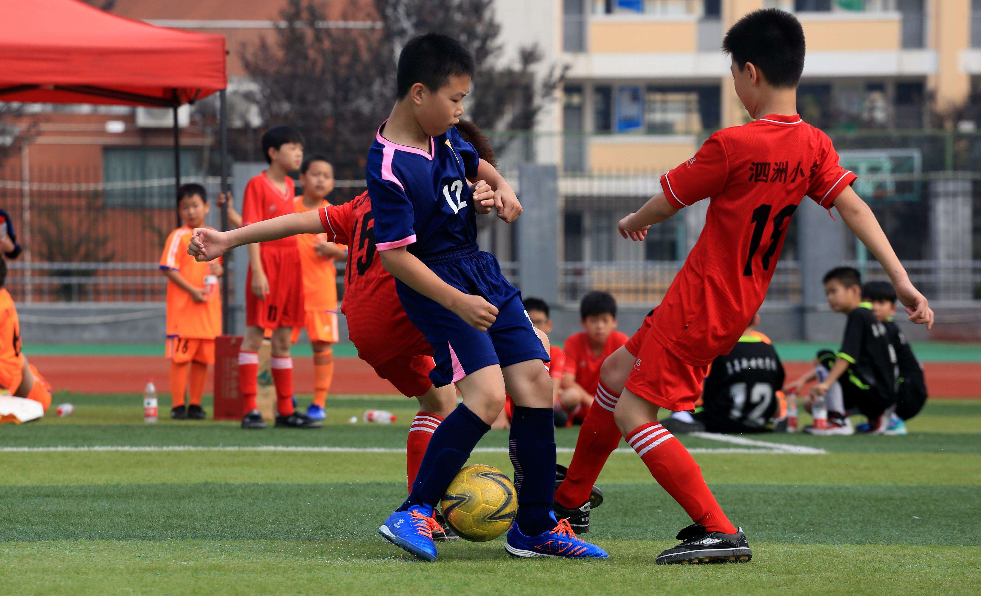 清河小学足球_清林小学足球队