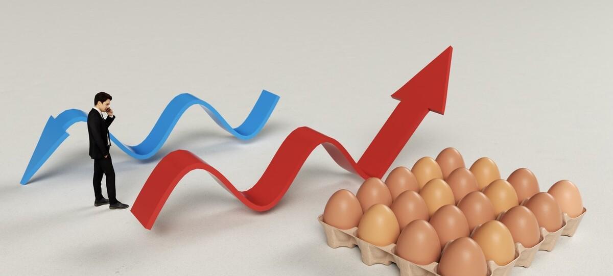 今日全国鸡蛋价格最新行情走势_今日全国鸡蛋价格最新行情走势图表