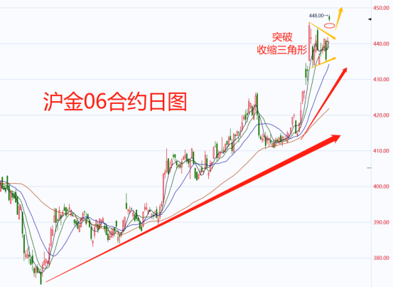 山东黄金股票十年走势_山东黄金十年股价涨多少