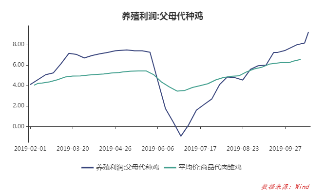 今年下半年鸡行情走势_2021年下半年鸡行情