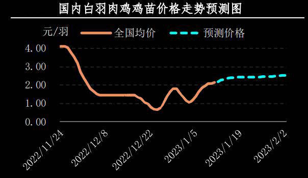 毛鸡价格行情走势分析_毛鸡价格行情走势分析图