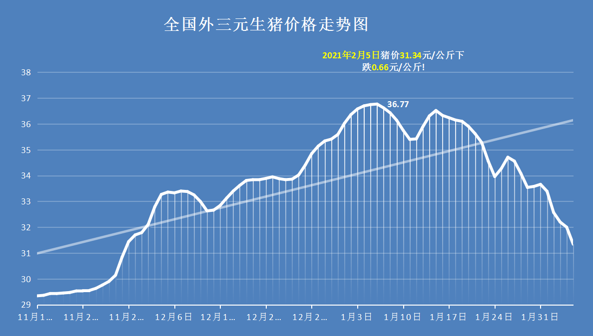 近期生猪价格行情走势及预测_近期生猪价格行情走势及预测分析回归分析模型