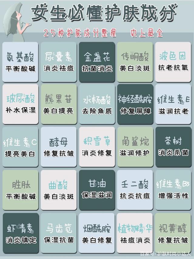 化妆品成分查询app_化妆品成分查询APP