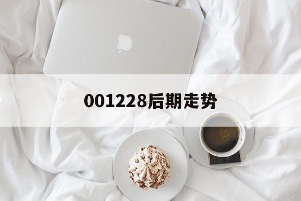 001228后期走势_001227今日净值查