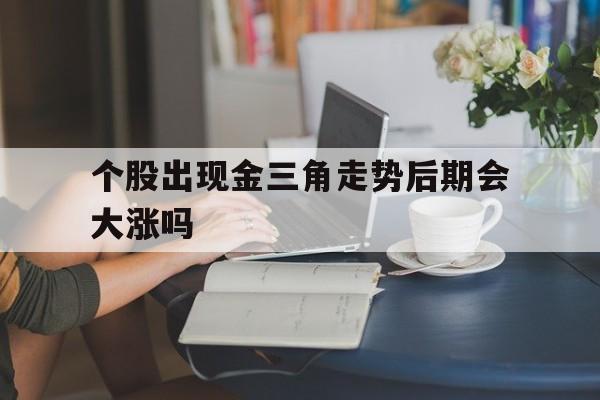 个股出现金三角走势后期会大涨吗的简单介绍