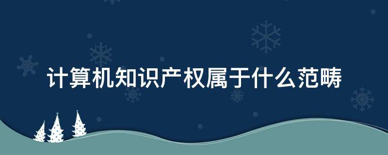 计算机知识产权保护常识_计算机软件的知识产权保护常识