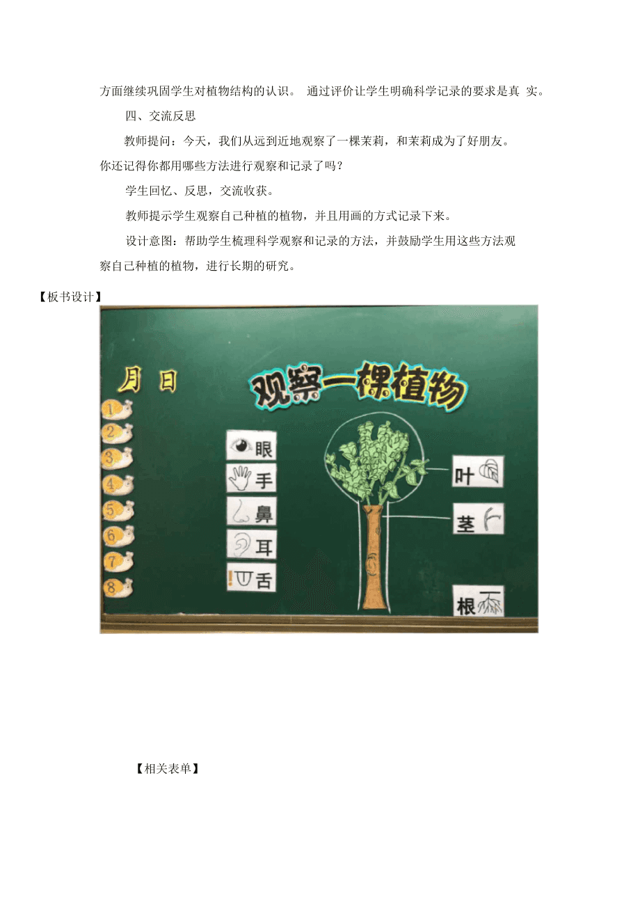 植物的家常识教案_大班科学植物的家反思