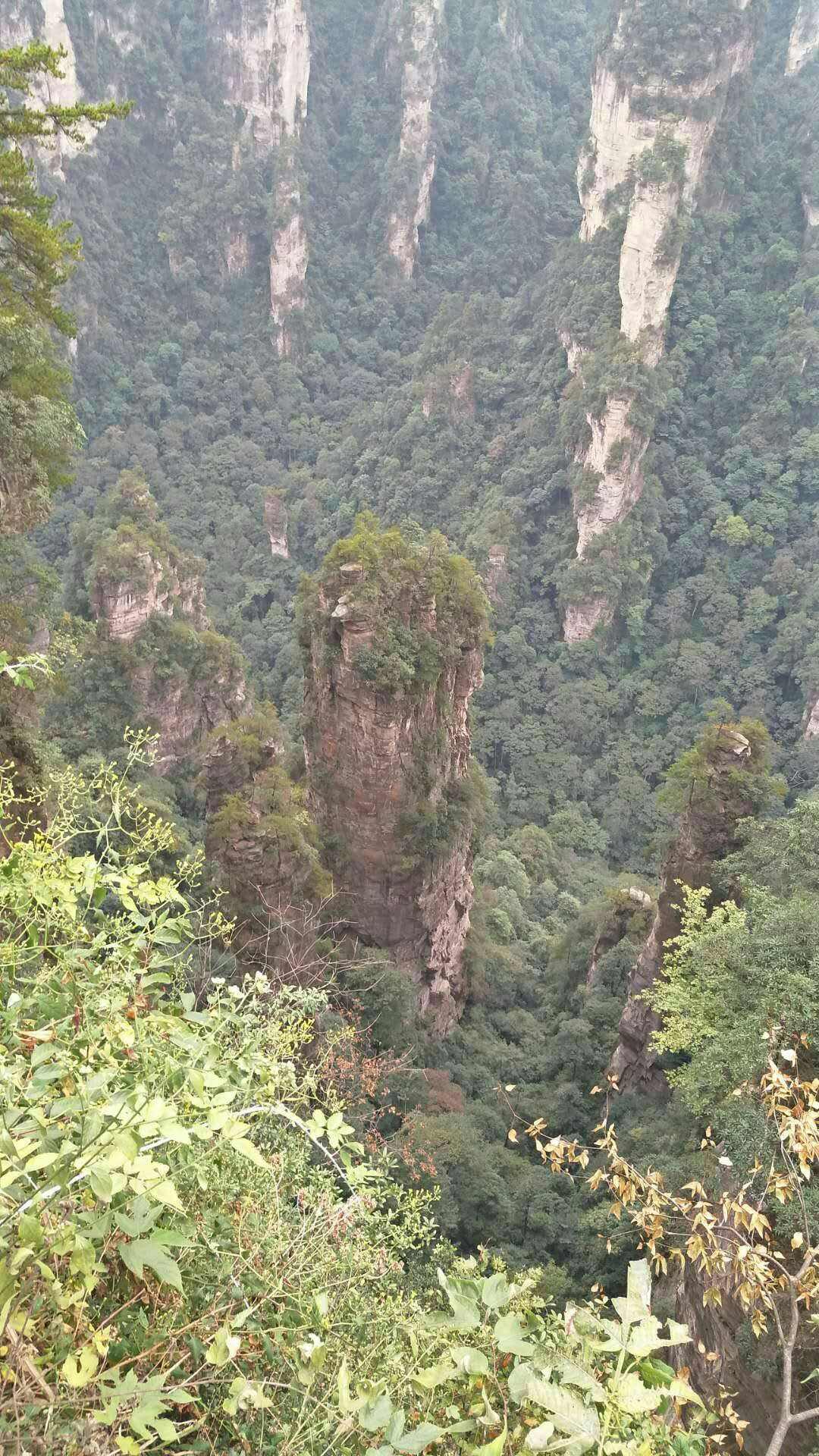 包含张家界去年国庆节前后股票走势的词条