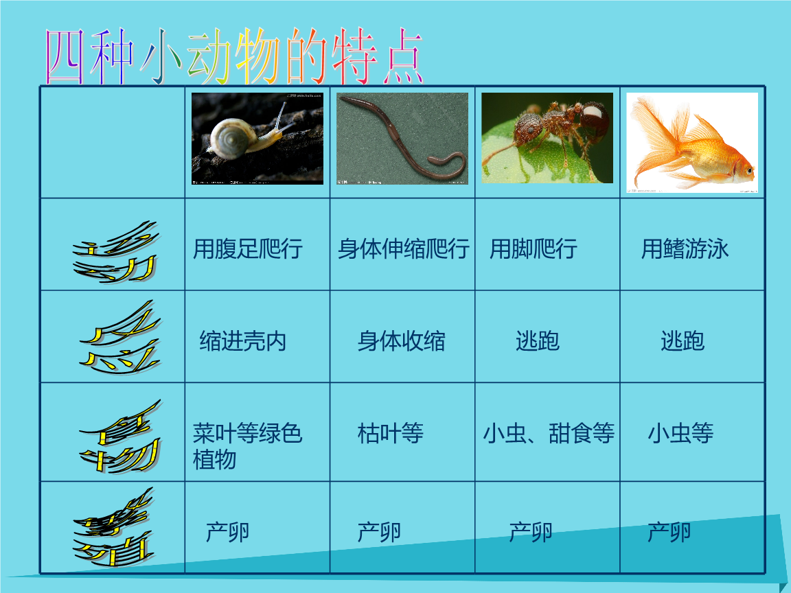 关于关于动物科学常识有什么的信息