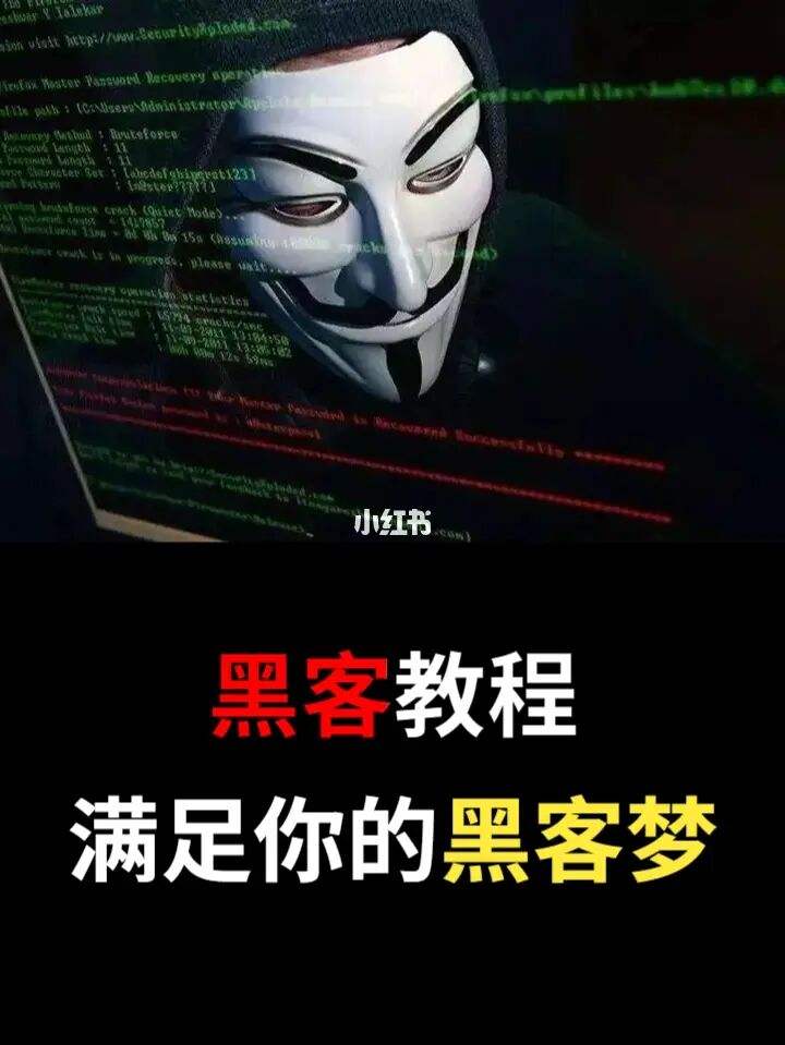 黑客技术零基础入门耍帅的简单介绍