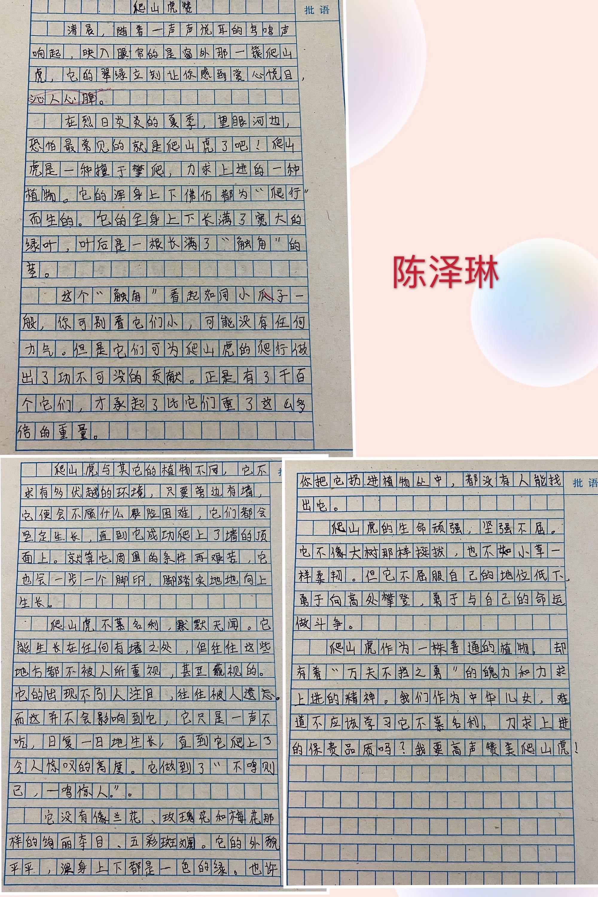 常识学以致用高中作文_以常识与成功为话题写一篇作文