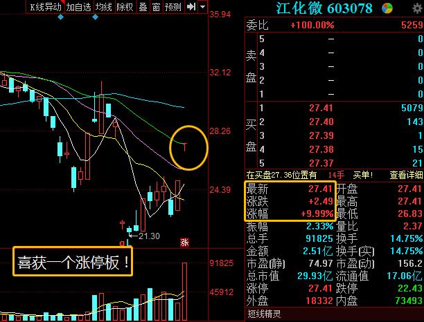 603220今天走势分析_603421股票今天的走势